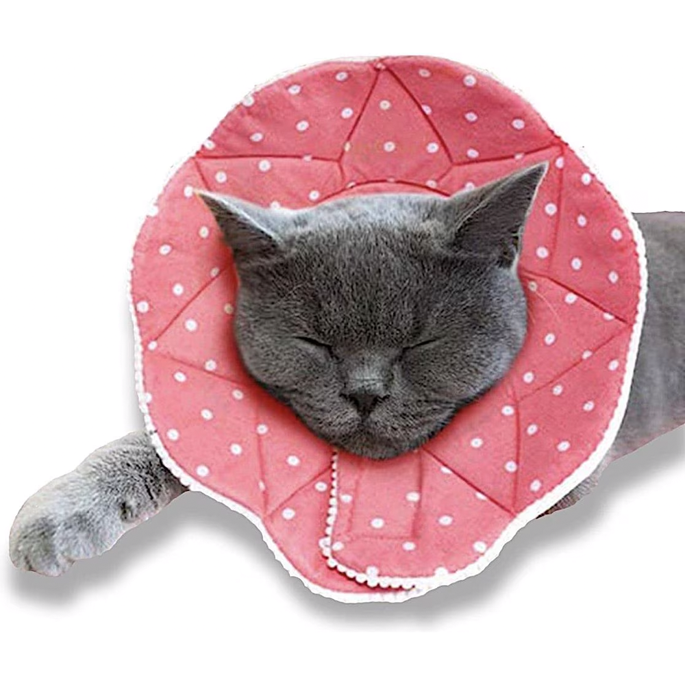 SunGrow Dog Recovery Collar