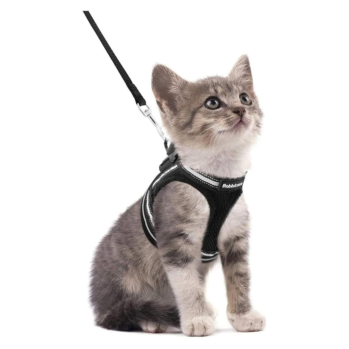 rabbitgoo Cat Harness and Leash Set