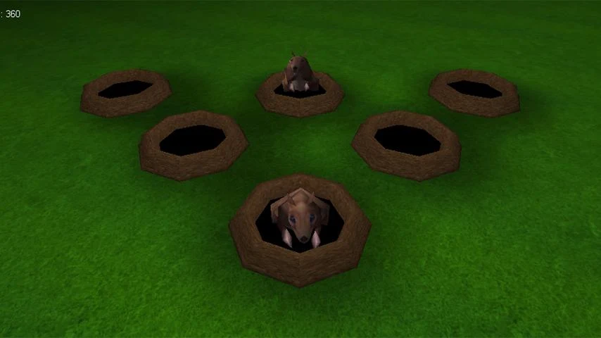 Cat Playground