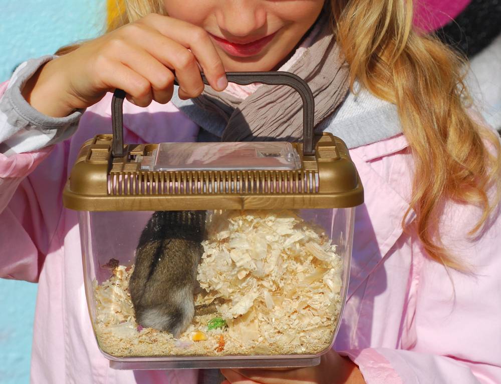 young girl holding hamster in portable transporter outdoor