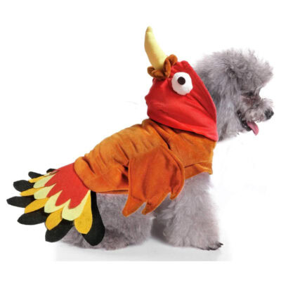 Bwogue Turkey Dog Costume