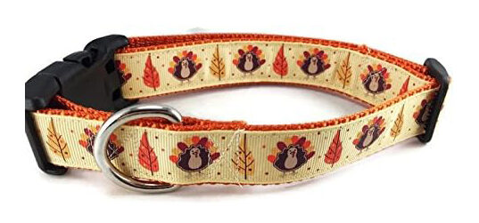 Canine Design Thanksgiving Dog Collar