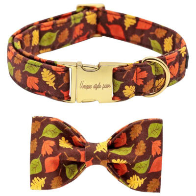 Fall Dog Collar by Unique Style Paws