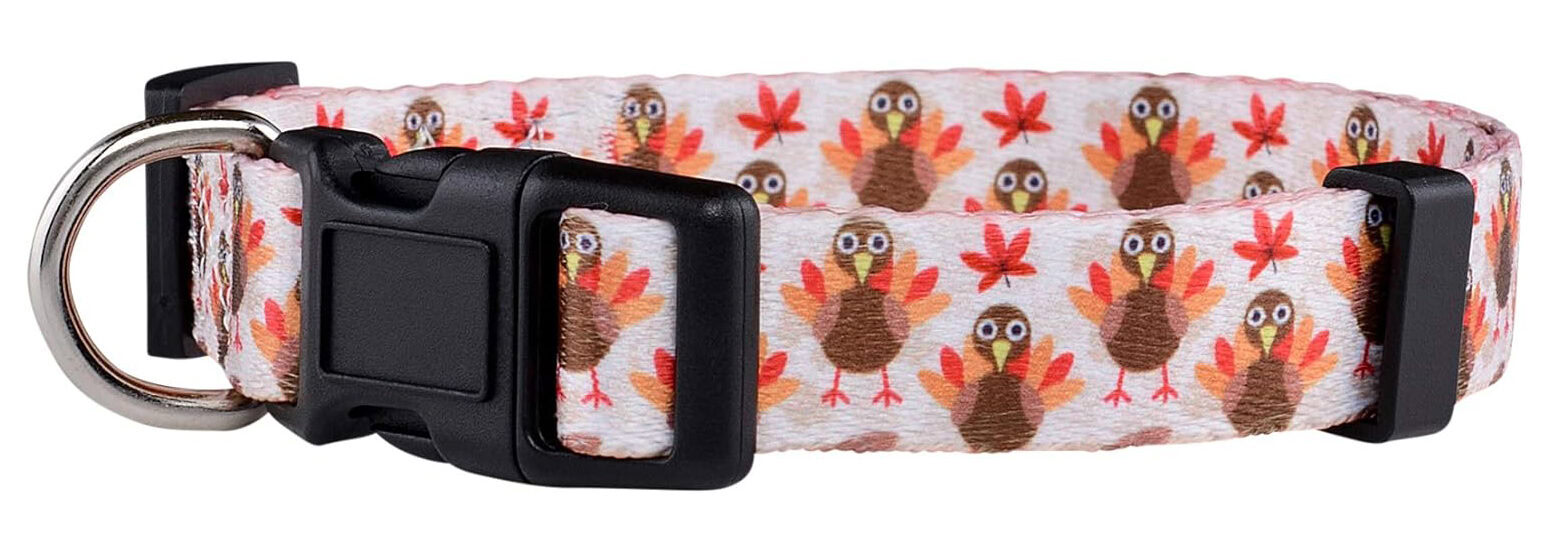 Native Pup Thanksgiving Dog Collar
