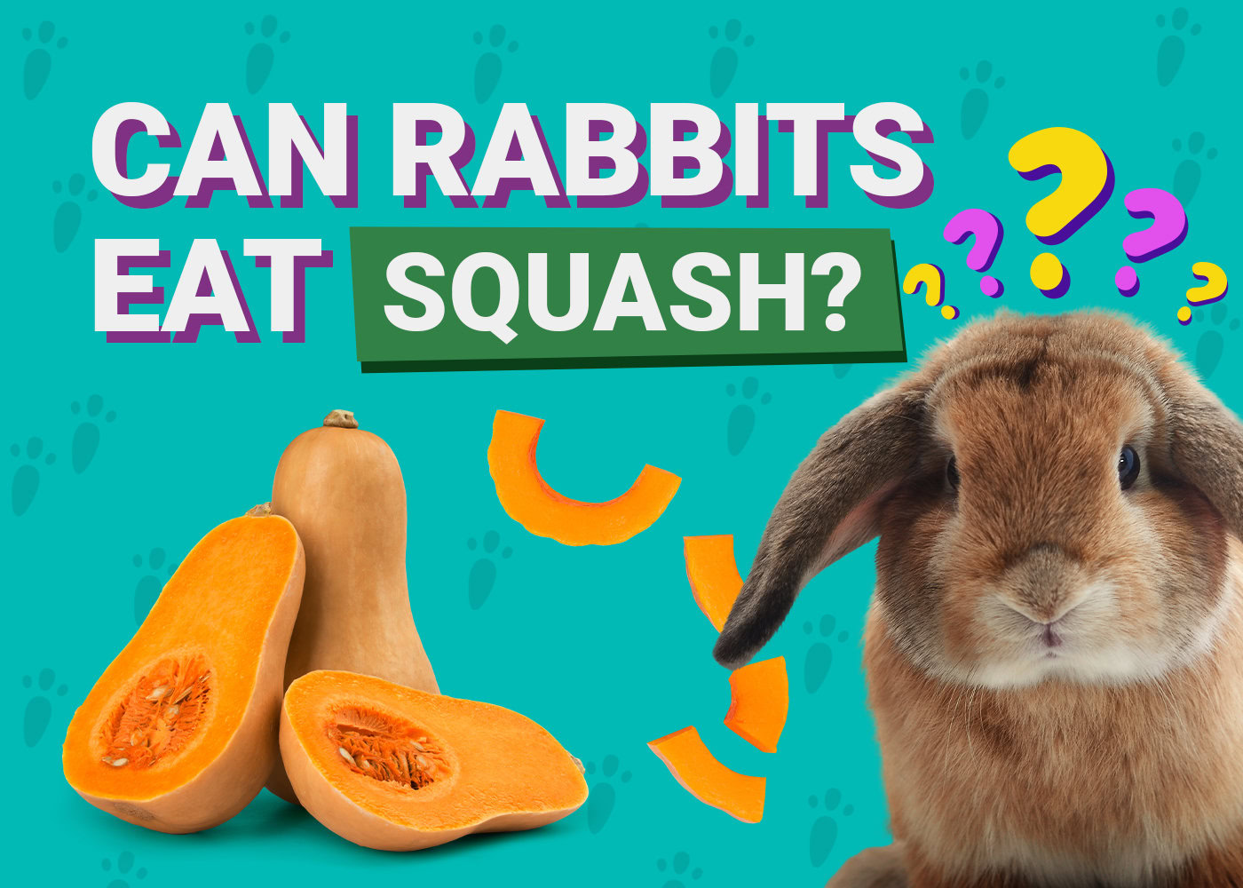 Can Rabbits Eat_squash
