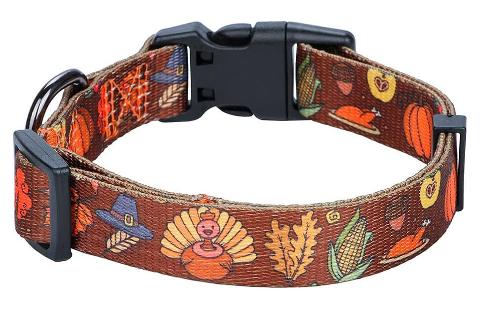 Rhea Rose Fall Halloween Thanksgiving Dog Collar