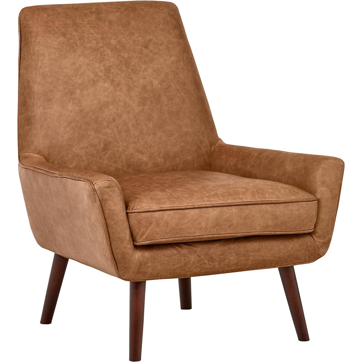 Rivet Jamie Leather Mid-Century Modern Accent Chair