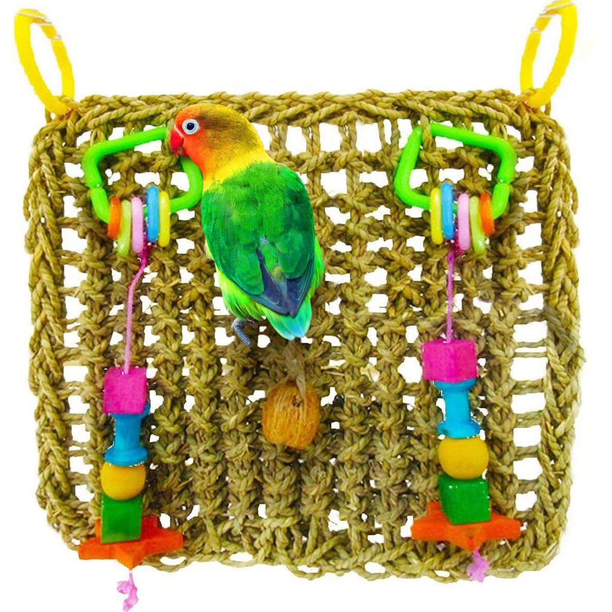 SunGrow Foraging Toys