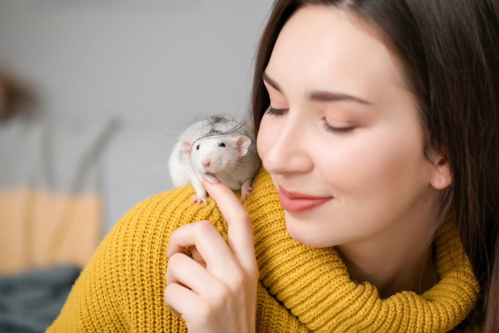 Young woman with cute rat at home