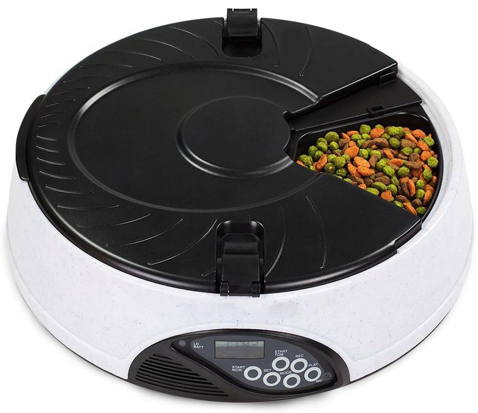 PETCUTE Automatic Cat feeder Pet food dispenser
