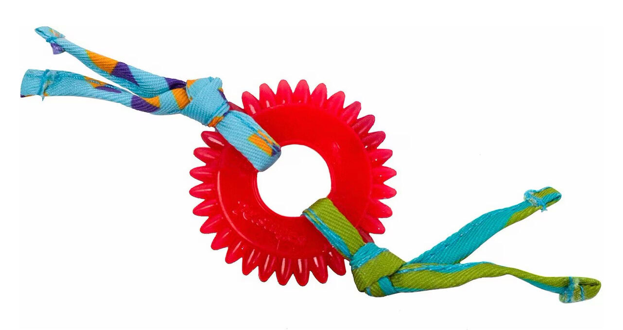 Petstages Dental Kitty Chew Wheel Cat Chew Toy