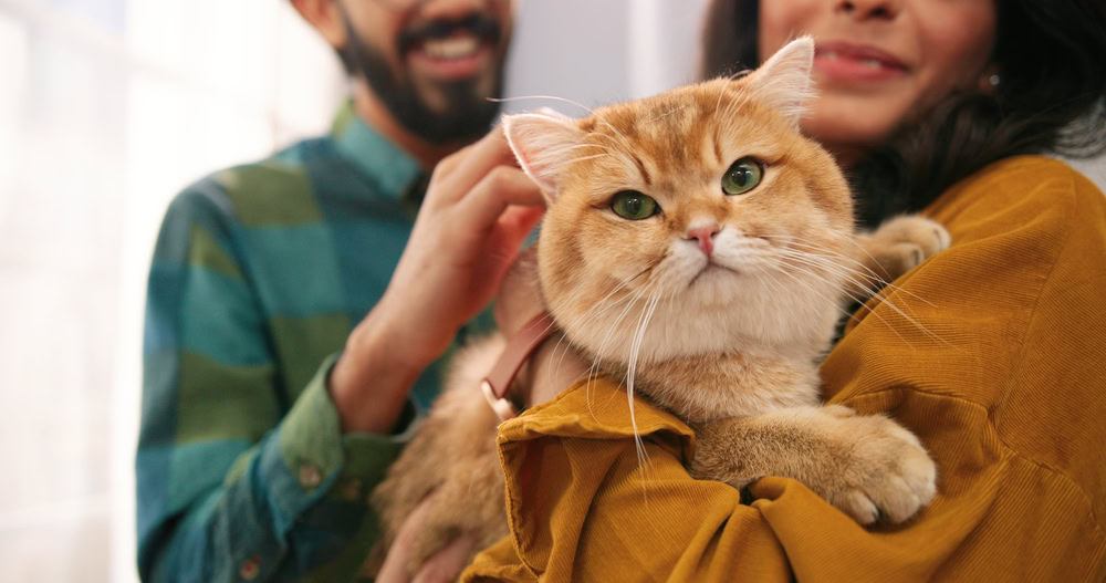 couple with a cat