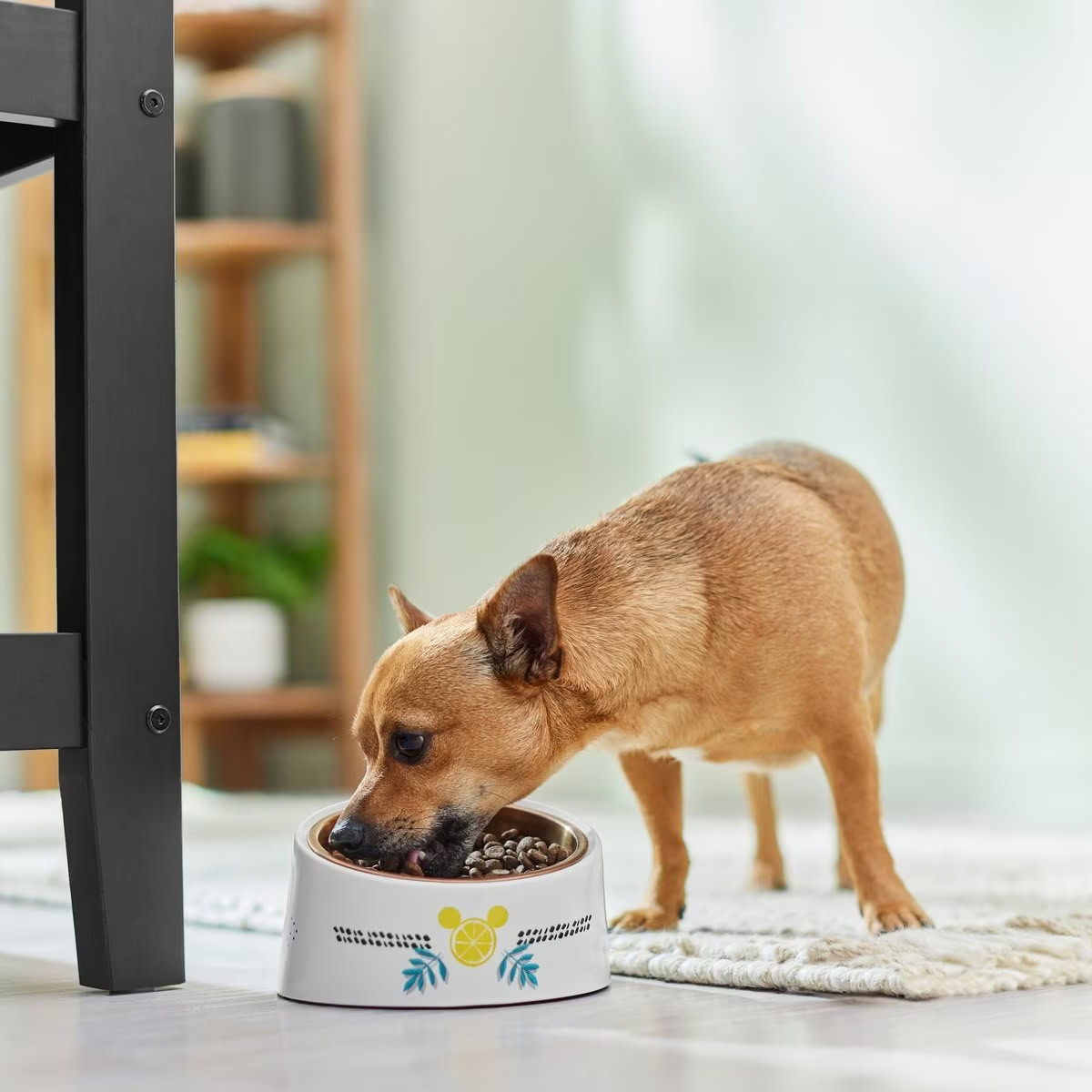 Disney Mickey Mouse Lemon Slanted Dog Bowl