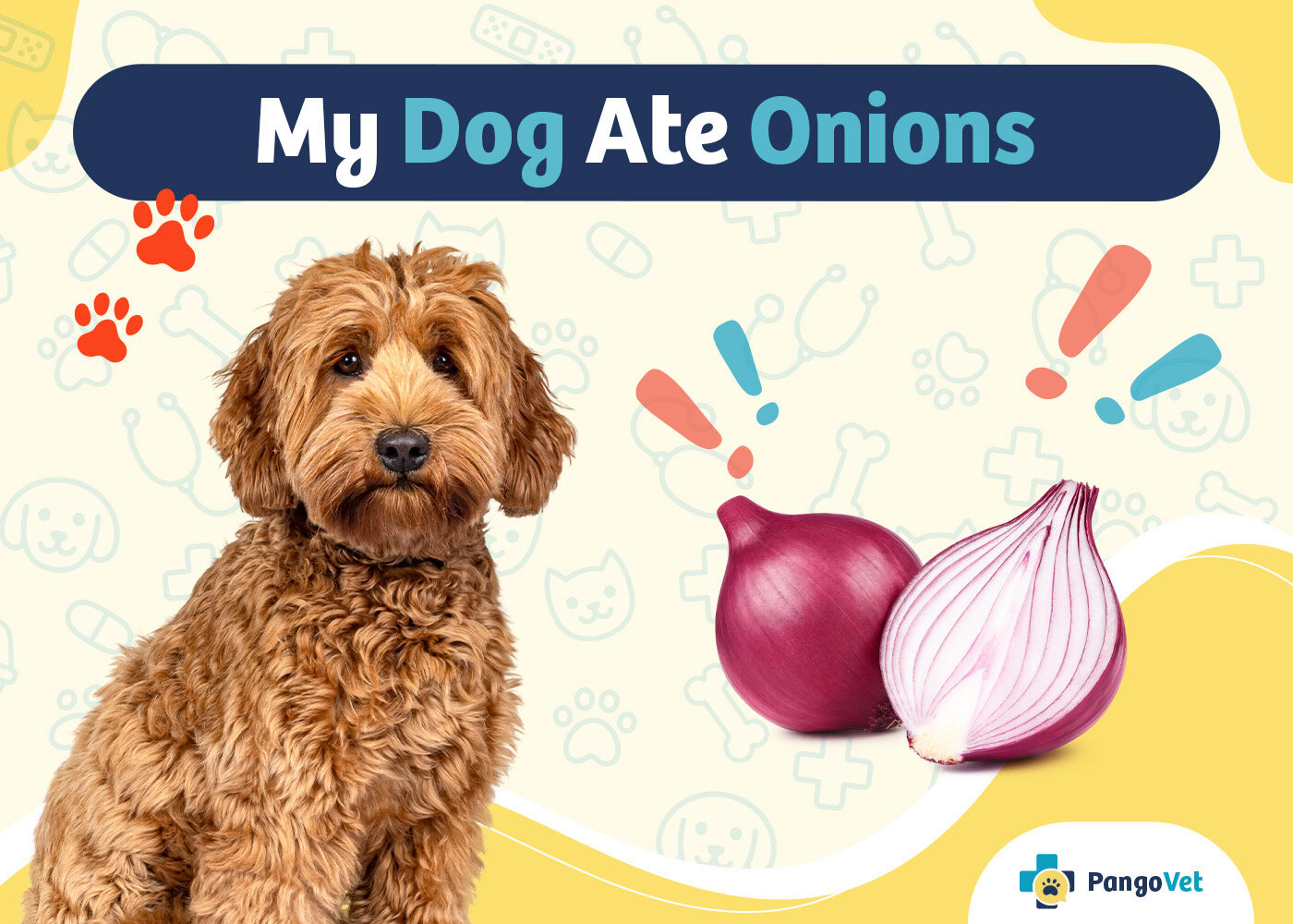 PangoVet_My Dog Ate Onions