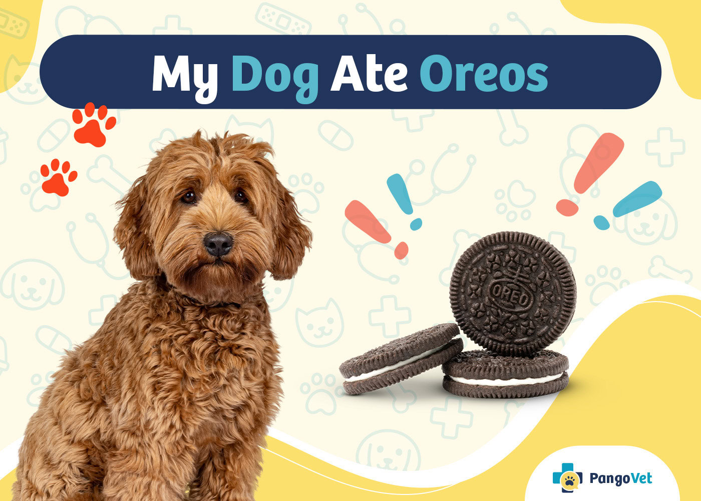 PangoVet_My Dog Ate Oreos