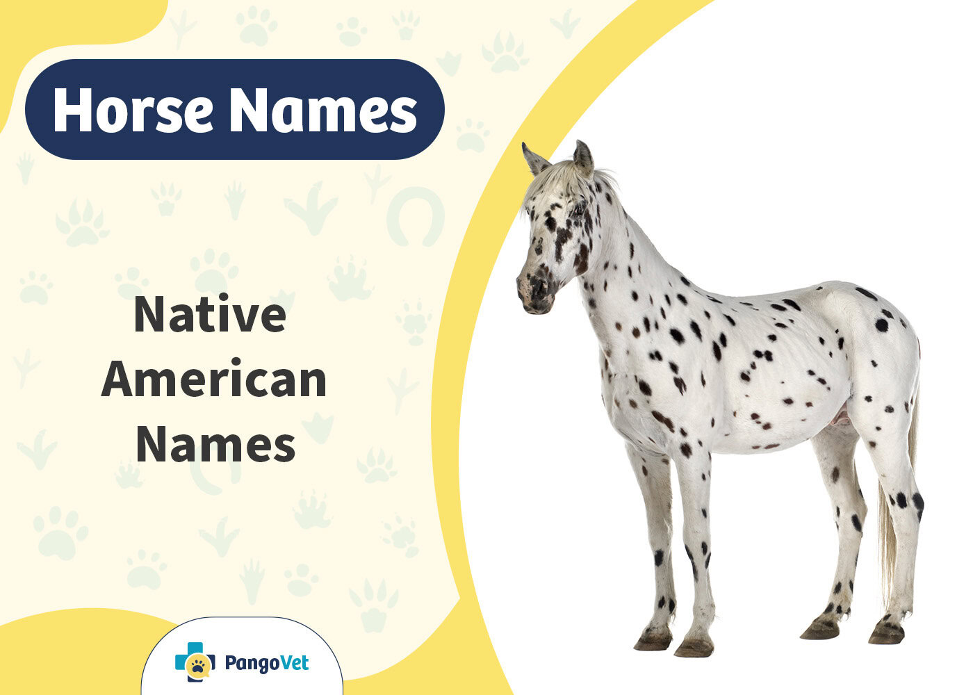 PangoVet_Native American Horse Names