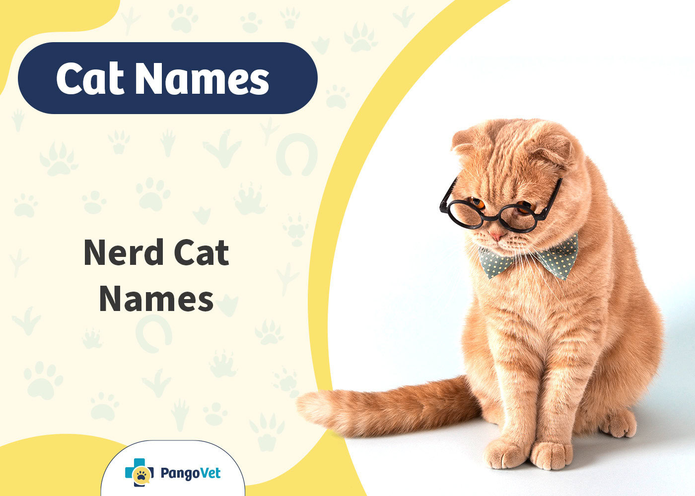 PangoVet_Nerd Cat Names