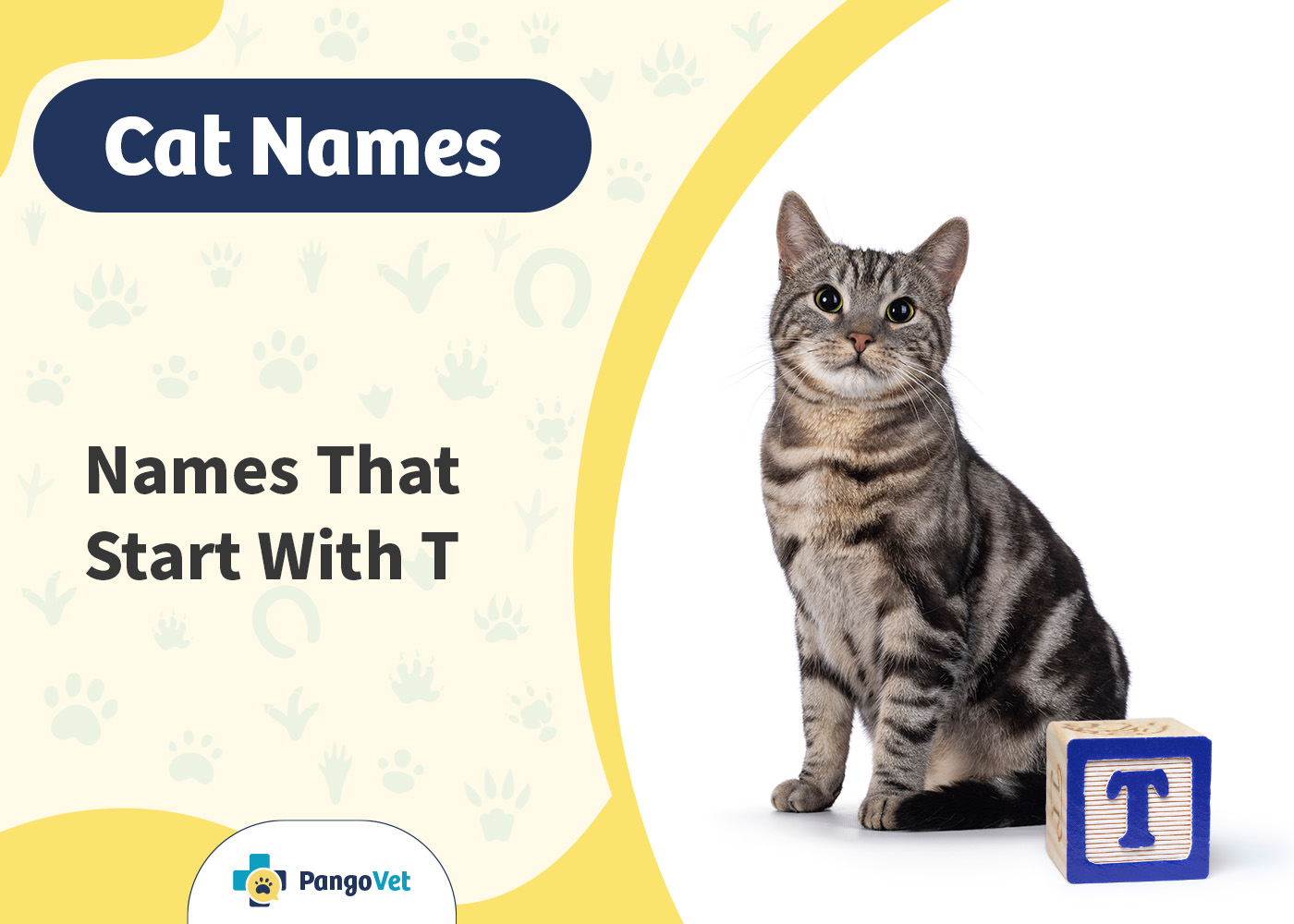 PangoVet_Cat Names that Start with T