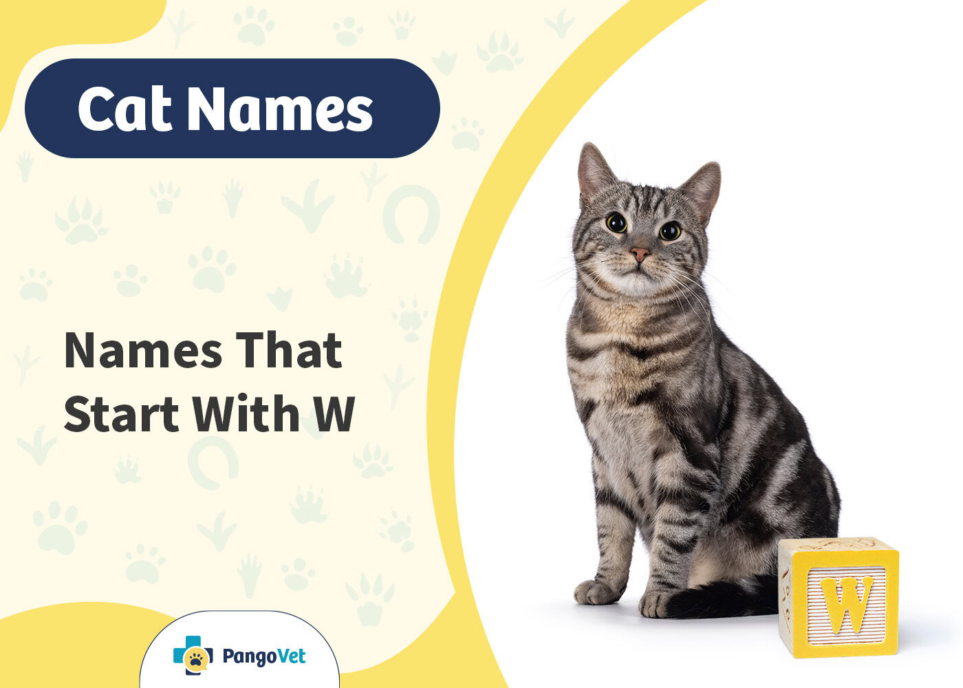 PangoVet_Cat Names that Start with W