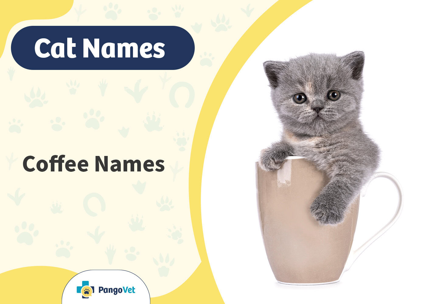 PangoVet_Coffee Cat Names