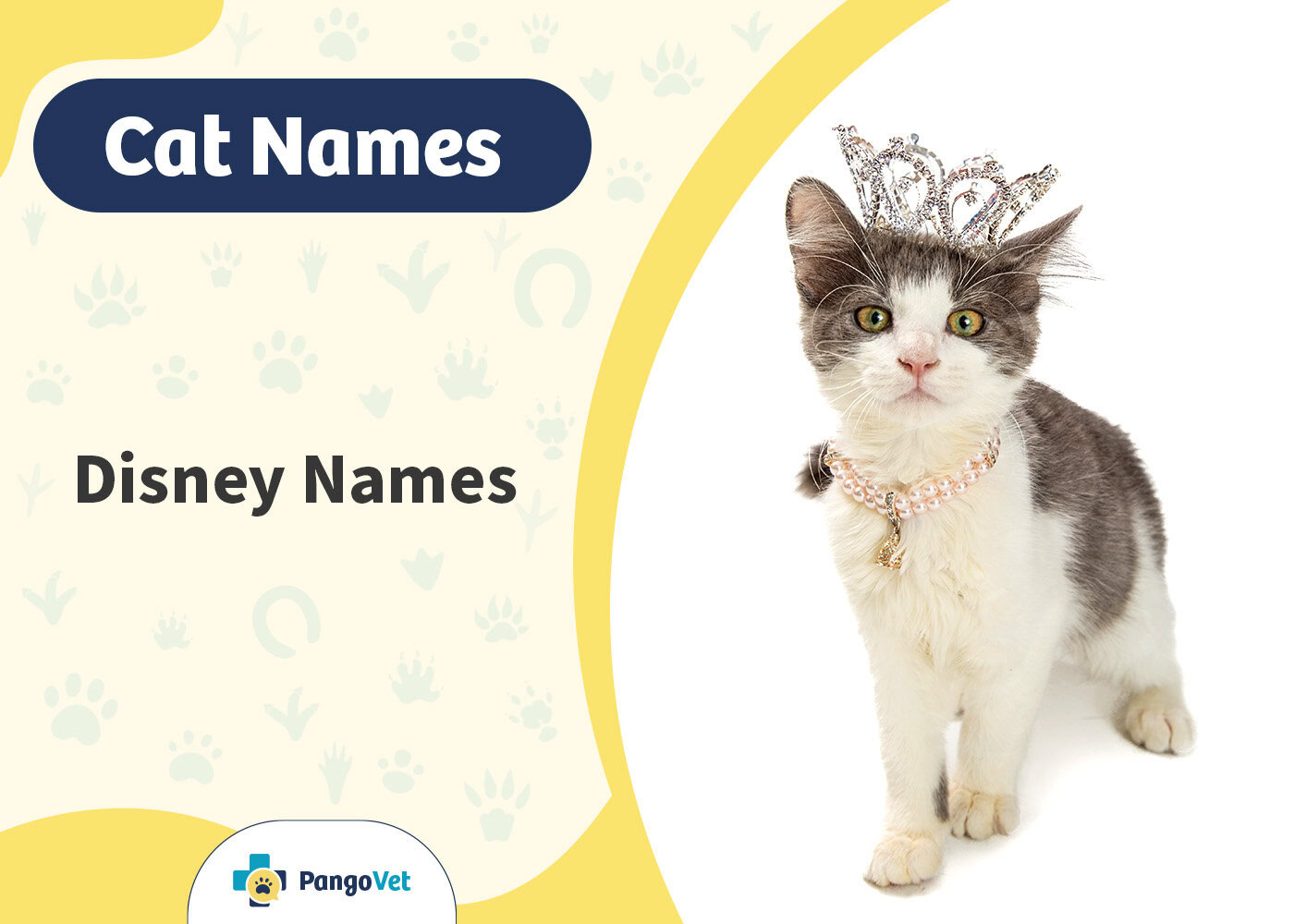 PangoVet_Disney Cat Names