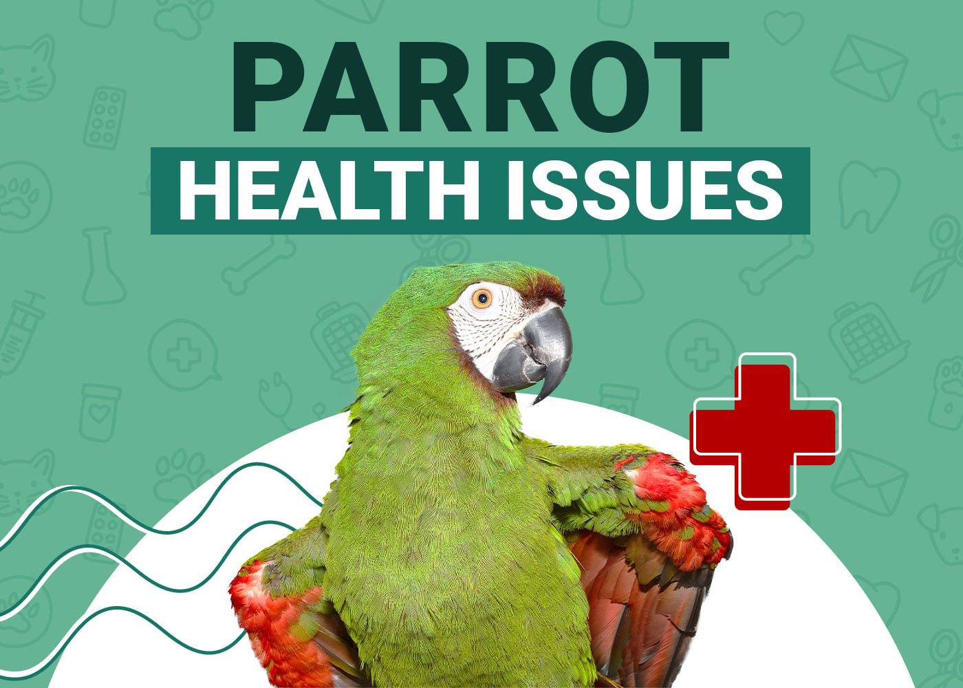 Parrot Health Problems