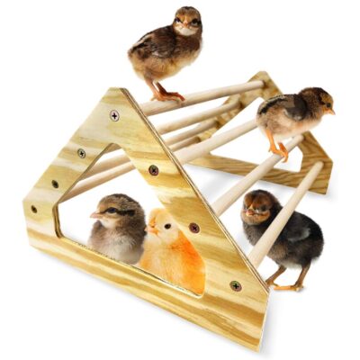 Backyard Barnyard Jungle Gym Roosting Perch