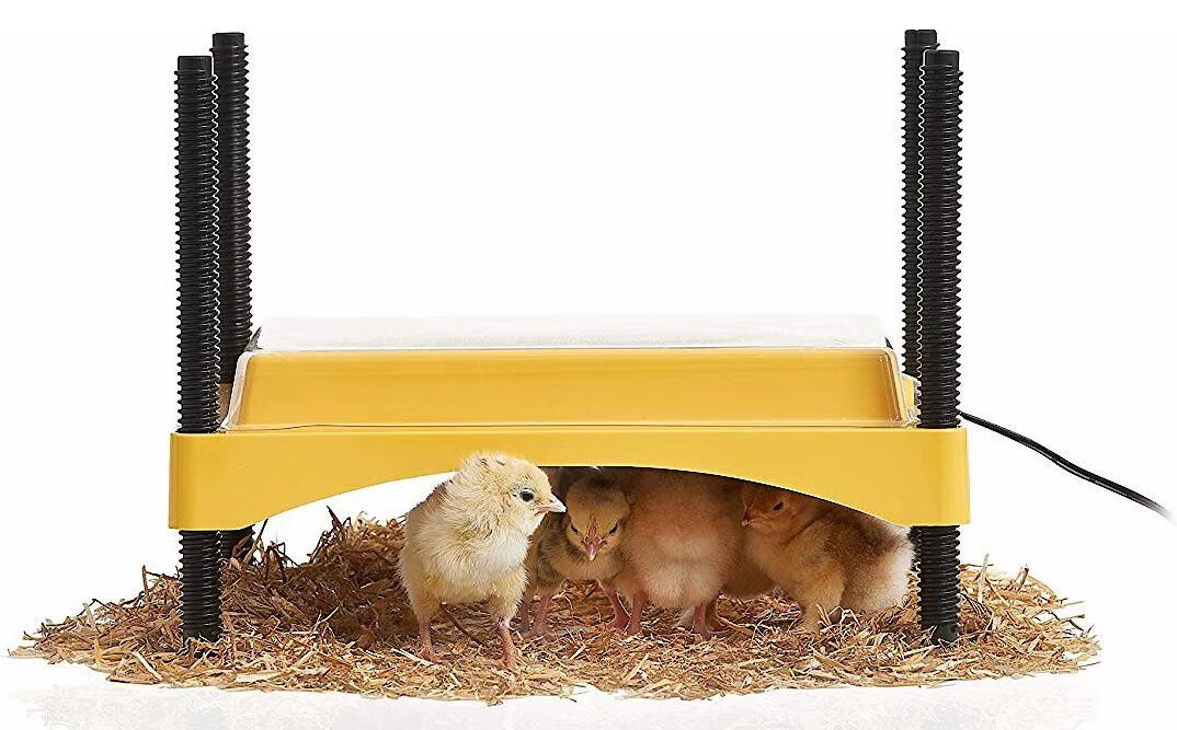Brinsea EcoGlow Safety 600 Chick and Duckling Brooder