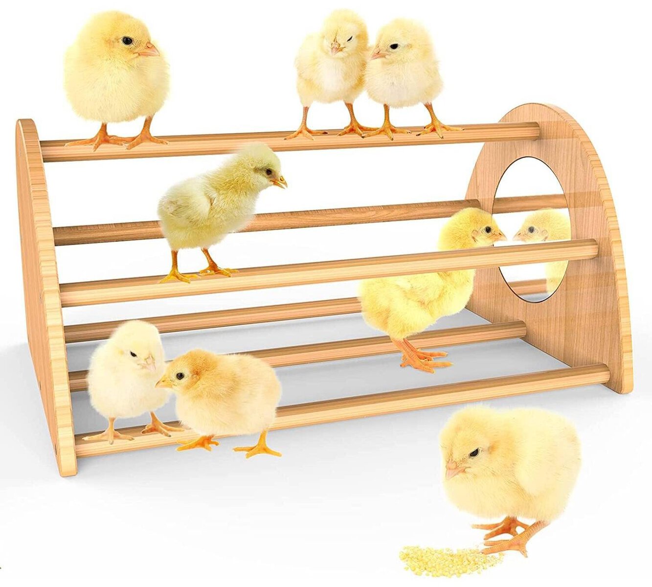 Ensayeer Bamboo Chicken Perch with Mirror