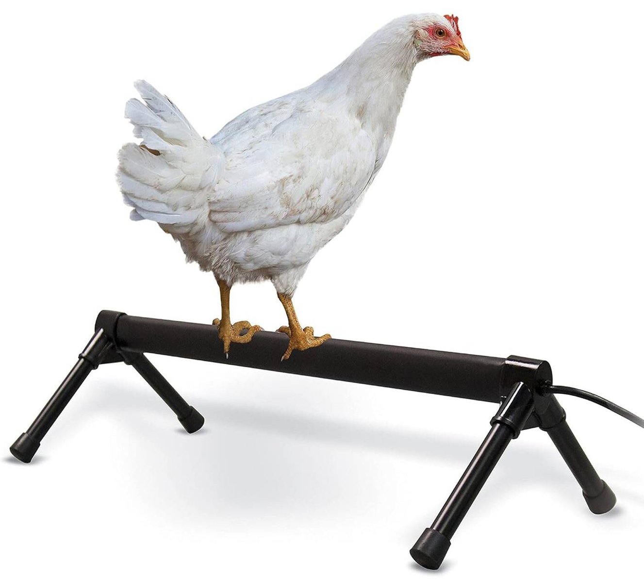K&H PET PRODUCTS Thermo-Chicken Perch