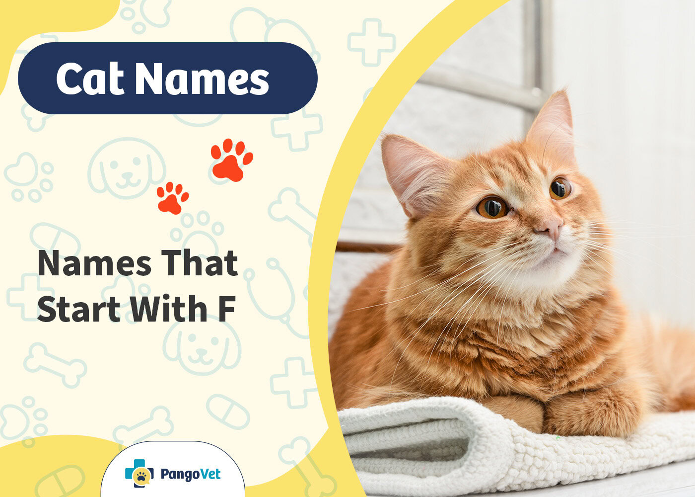 PangoVet_Names that Start with F