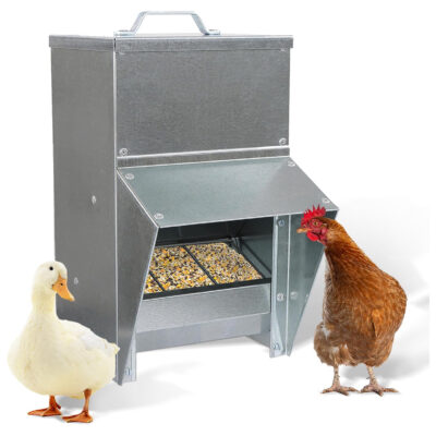 Rural365 Galvanized Feeder