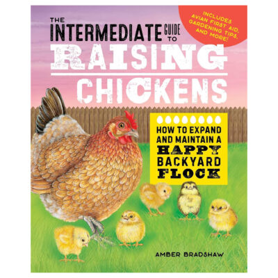 The Intermediate Guide to Raising Chickens