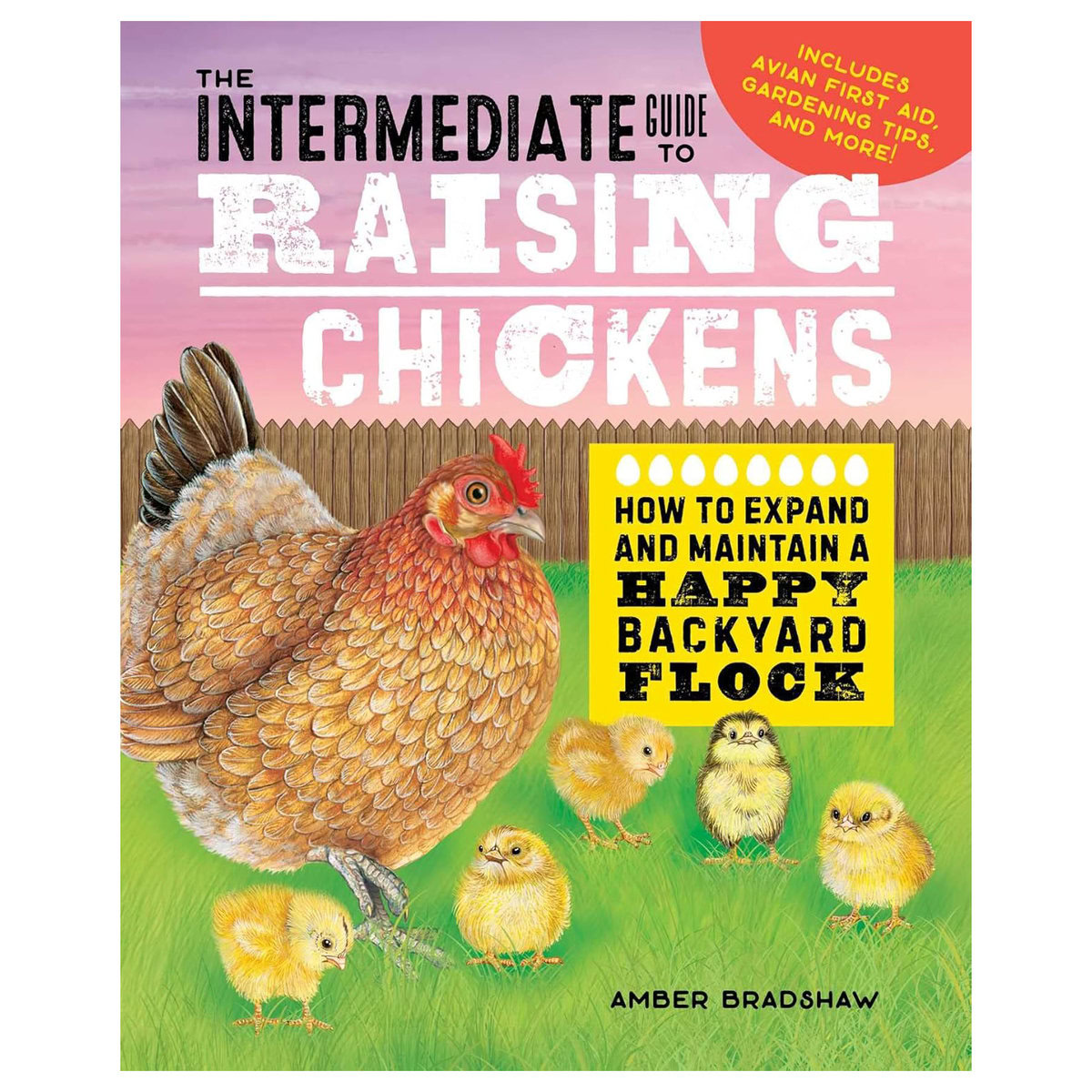 The Intermediate Guide to Raising Chickens