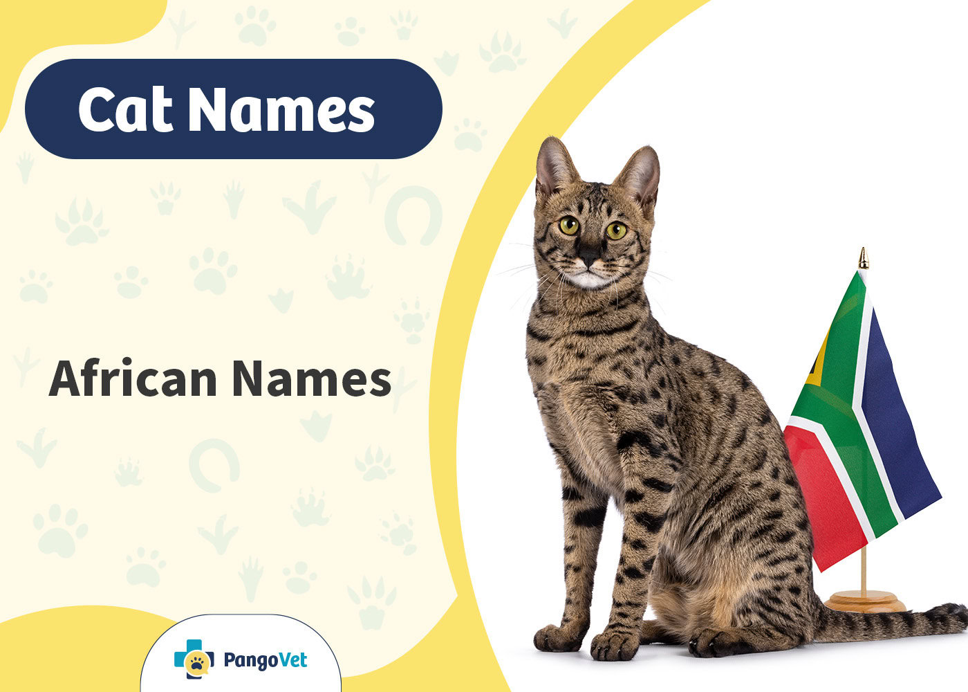 PangoVet_African Cat Names