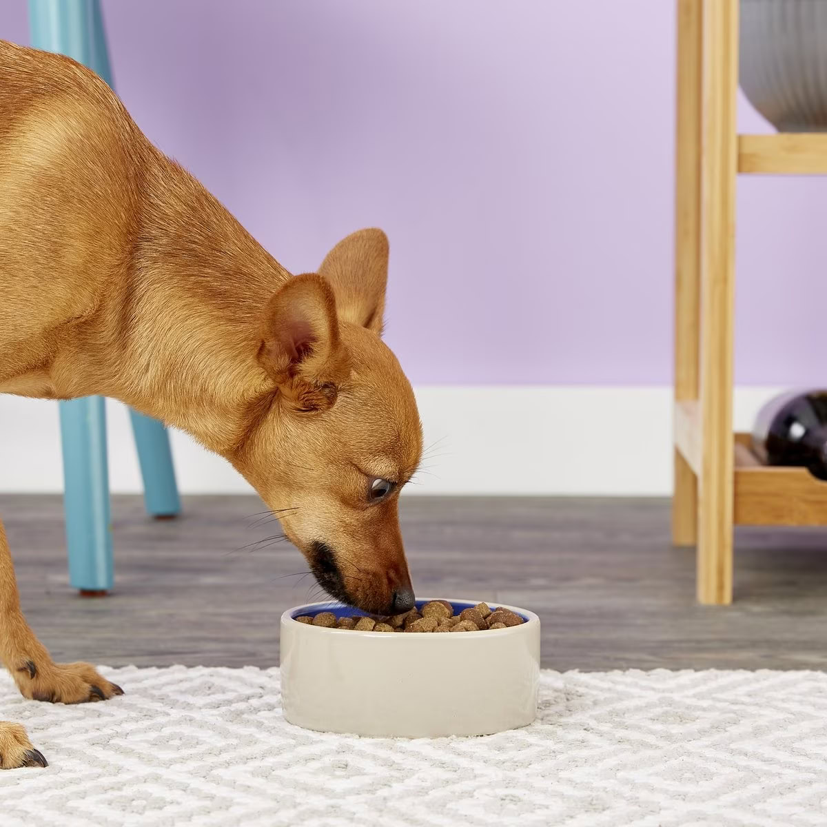 Ethical Pet Stoneware Crock Pet Dish
