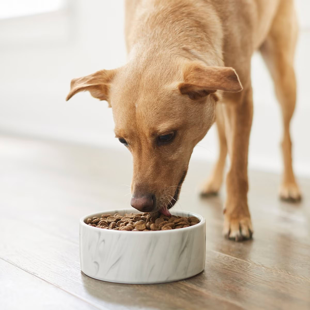 Frisco Marble Design Non-skid Ceramic Dog Bowl