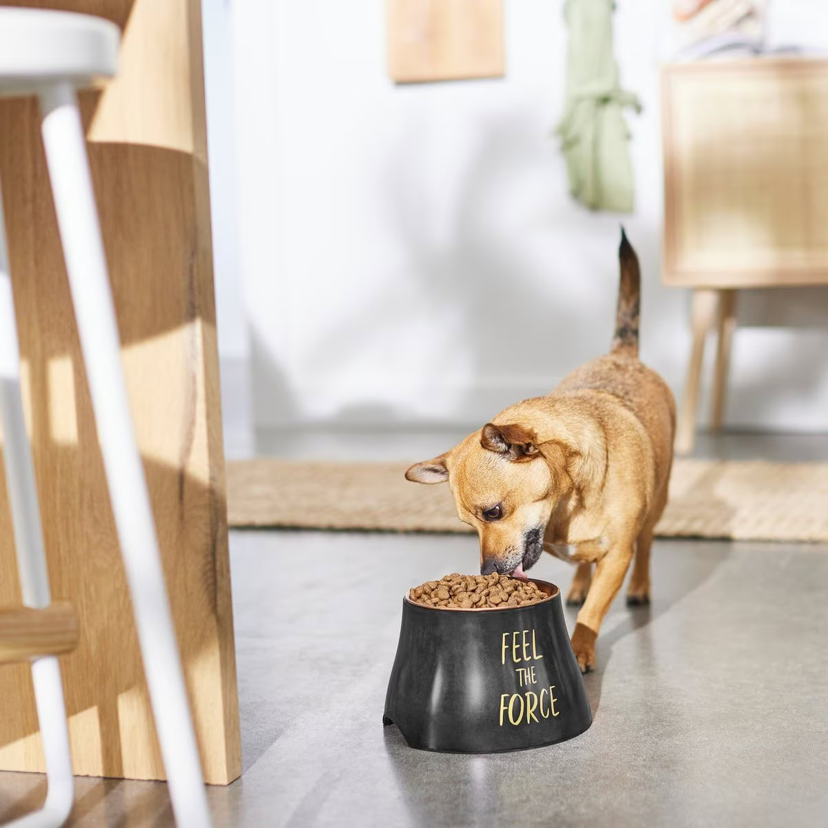 STAR WARS Elevated Melamine Stainless Steel Dog Bowl