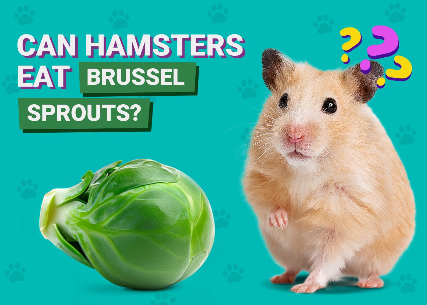 Can Hamsters Eat Brussels Sprouts