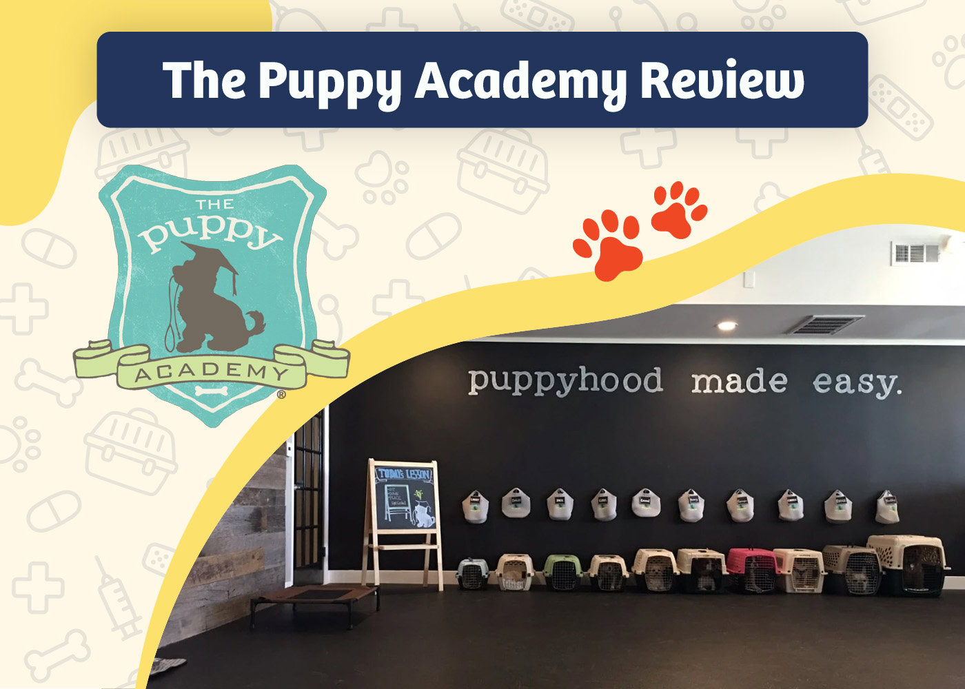 PangoVet_Review_The Puppy Academy Review