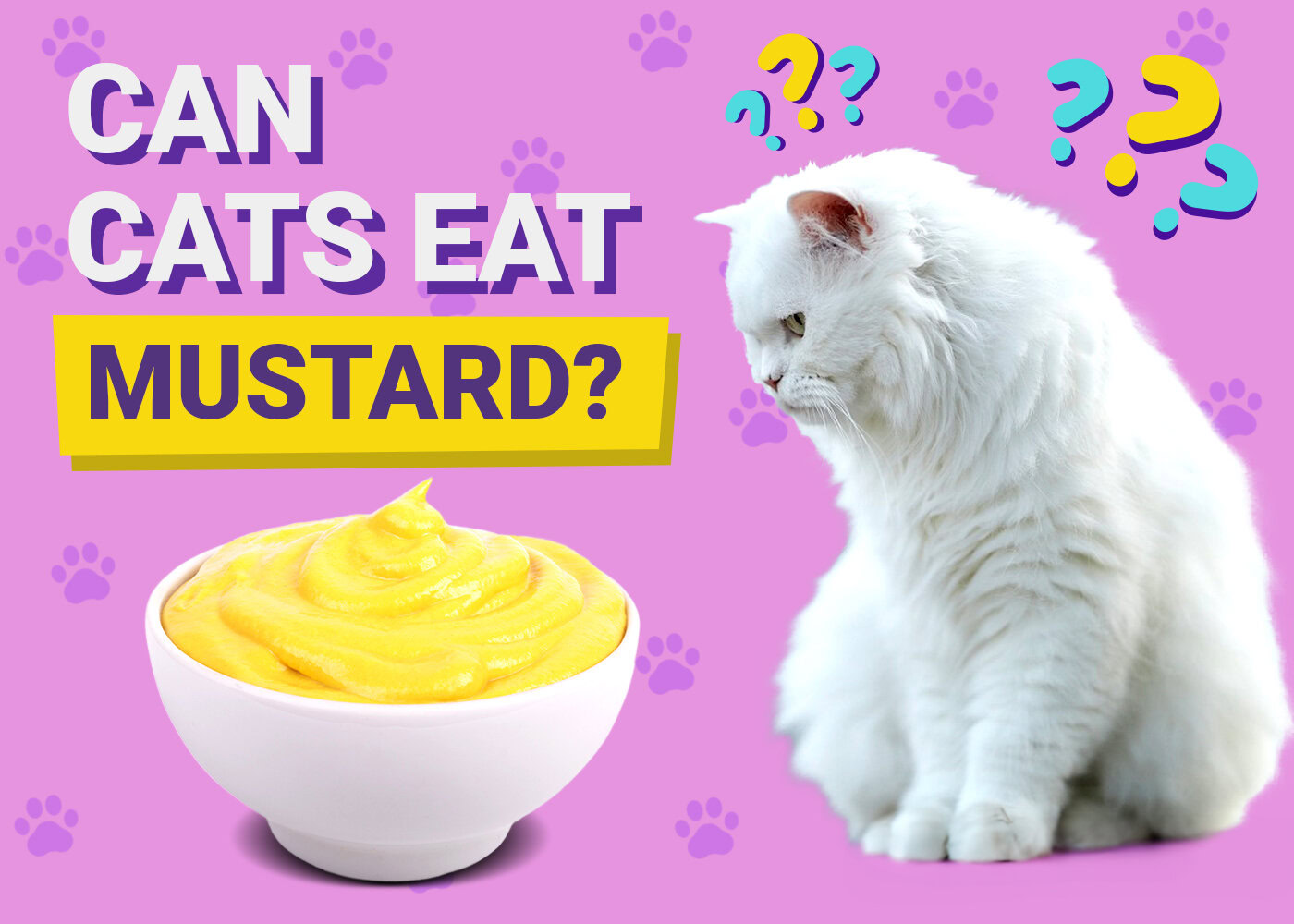 Can Cats Eat Mustard