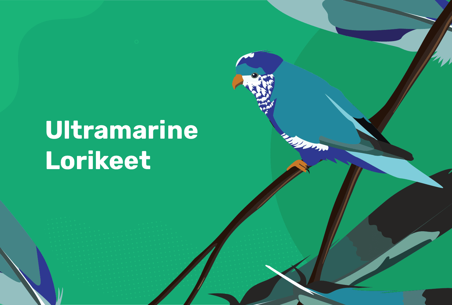ultramarine lorikeet