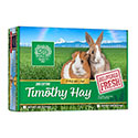 2nd Cutting Timothy Hay