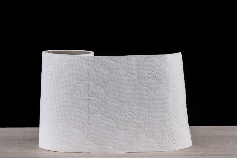 A roll of paper towels