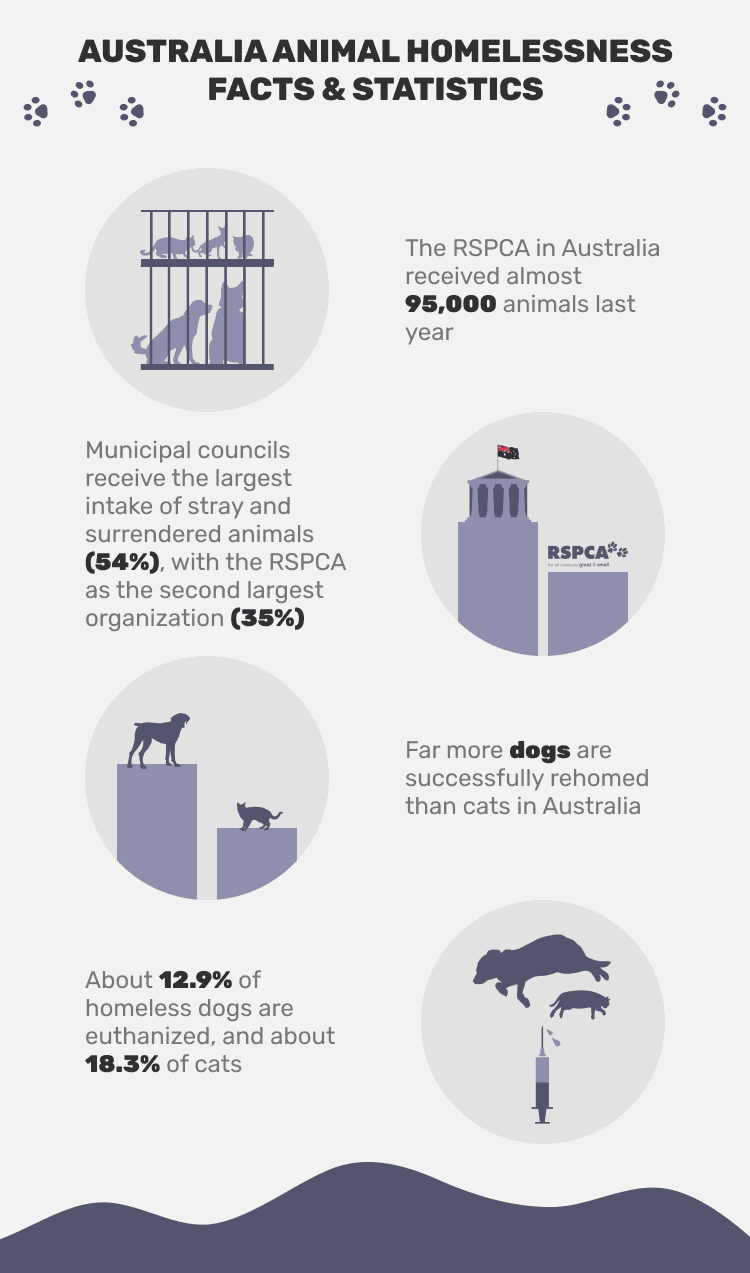 AUSTRALIA_ANIMAL_HOMELESSNESS_FACTS_&_STATISTICS