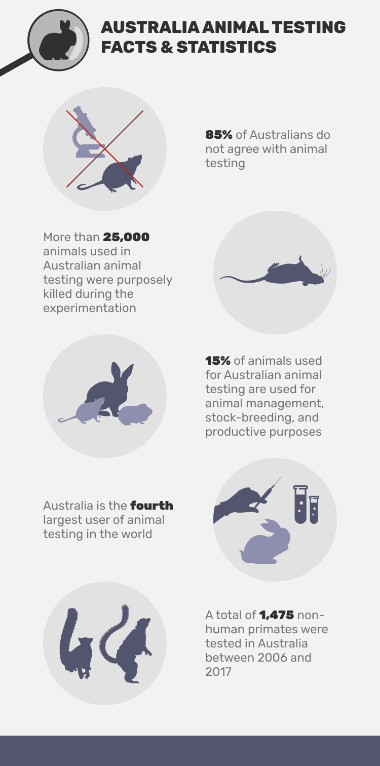 AUSTRALIA_ANIMAL_TESTING_FACTS_&_STATISTICS