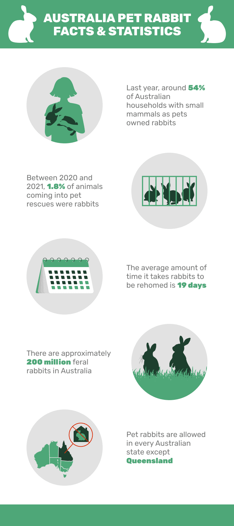 AUSTRALIA_PET_RABBIT_FACTS_&_STATISTICS