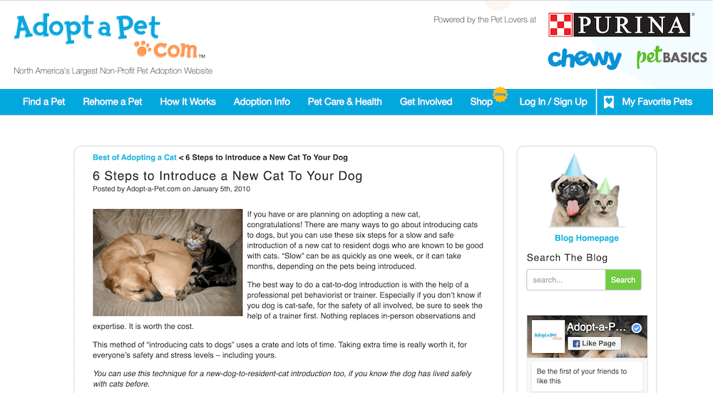 Adopt a Pet blog