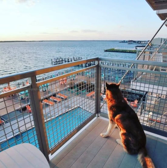 Aloft Ocean City