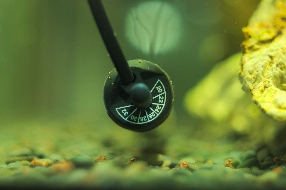 Aquarium Heater